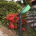 Anna بورتو فالترافاغليا