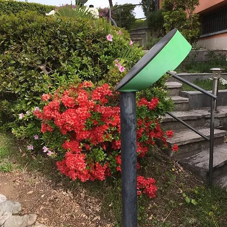 Anna Porto Valtravaglia