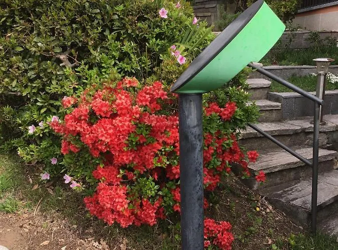 Anna Porto Valtravaglia